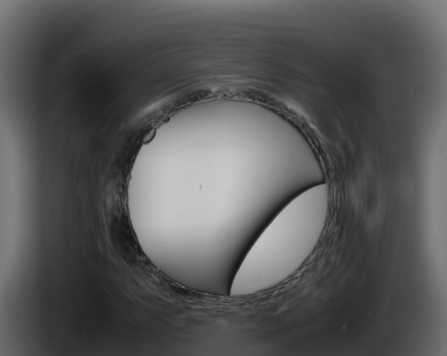 X0000086031063200703230949