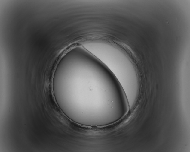 X0000086031065200703230949