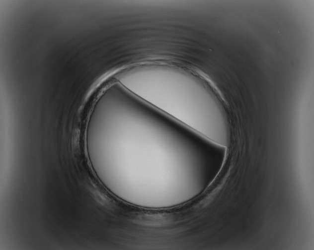 X0000086031066200703230949