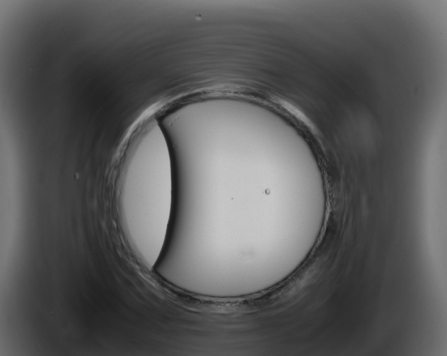 X0000086031067200703230949