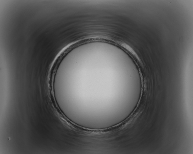 X0000086031068200703230949