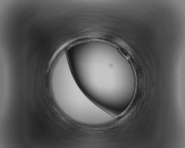 X0000086031069200703230949