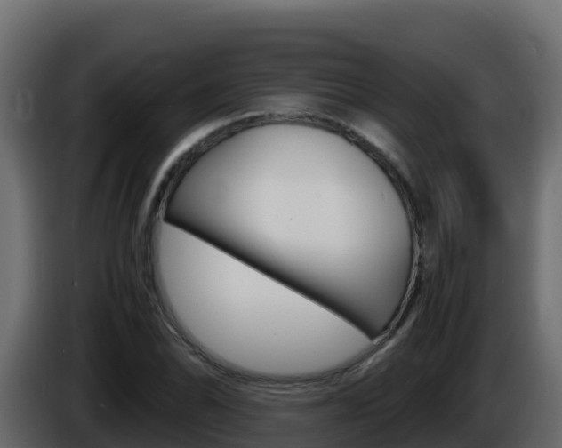 X0000086031070200703230949