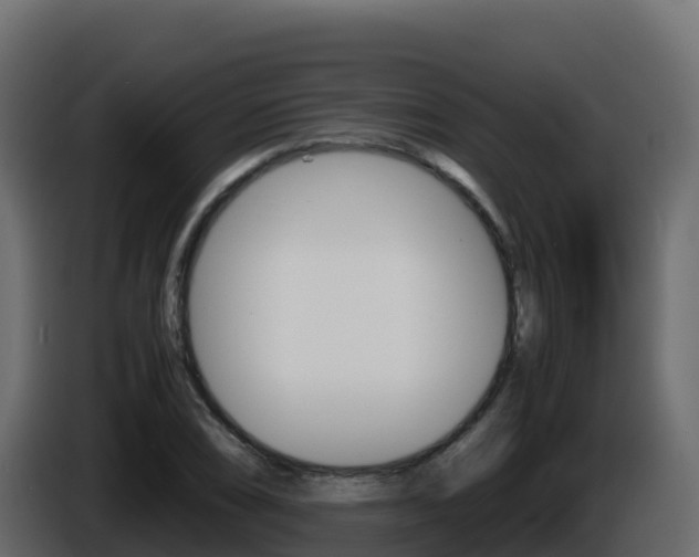 X0000086031074200703230949