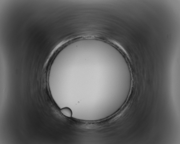X0000086031075200703230949