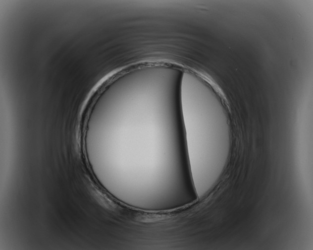 X0000086031076200703230949