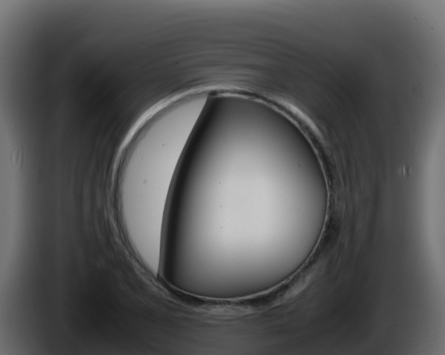 X0000086031077200703230949