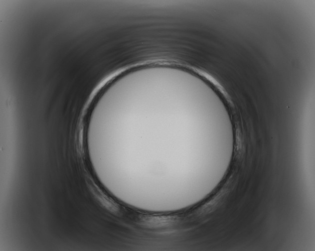 X0000086031078200703230949