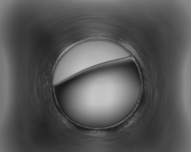 X0000086031081200703230949