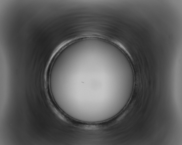 X0000086031082200703230949