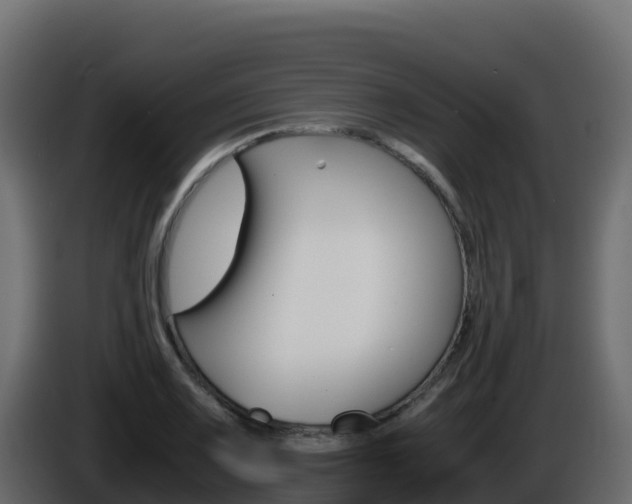 X0000086031083200703230949