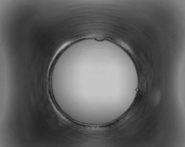 X0000086031087200703230949
