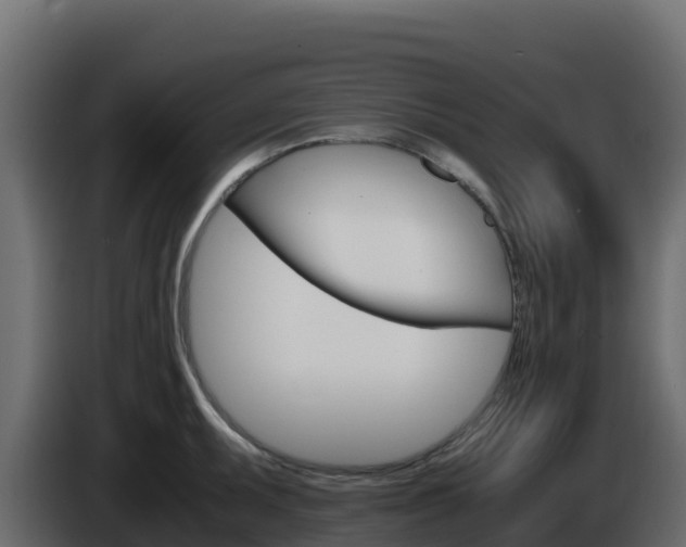 X0000086031095200703230949