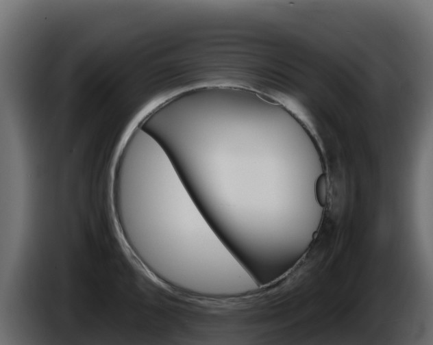 X0000086031096200703230949
