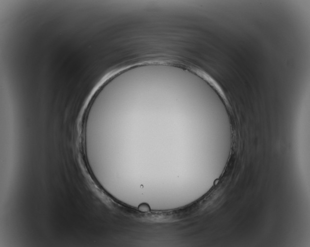 X0000086031099200703230949