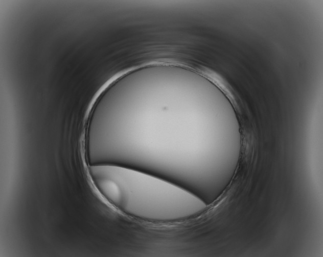 X0000086031100200703230949