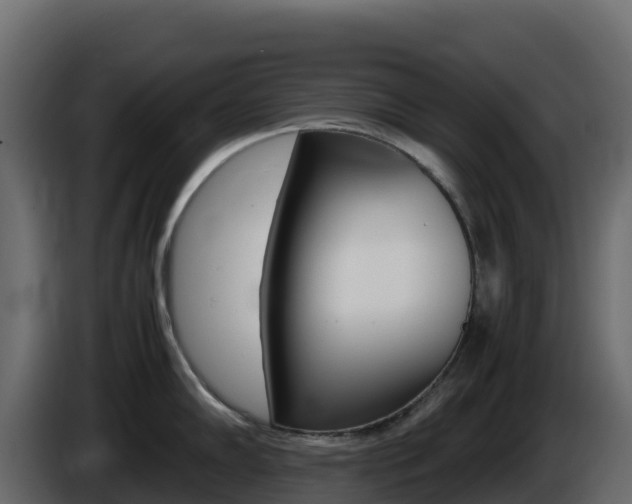 X0000086031102200703230949