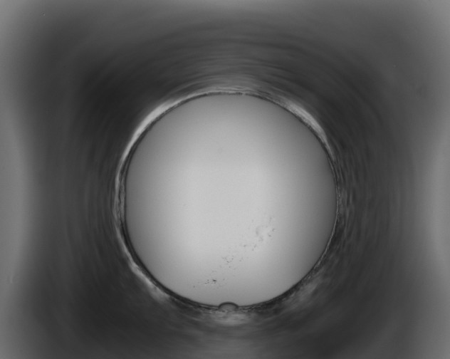 X0000086031103200703230949