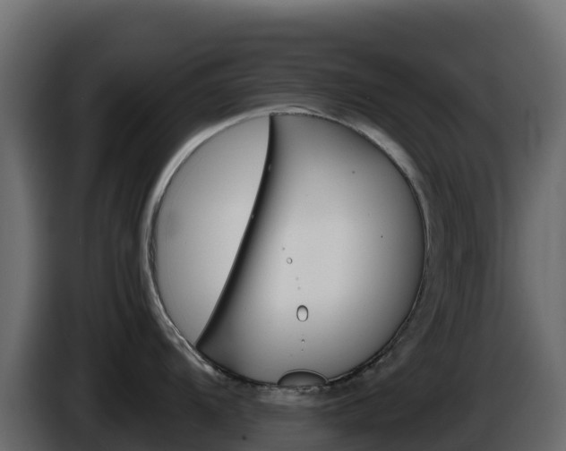 X0000086031104200703230949