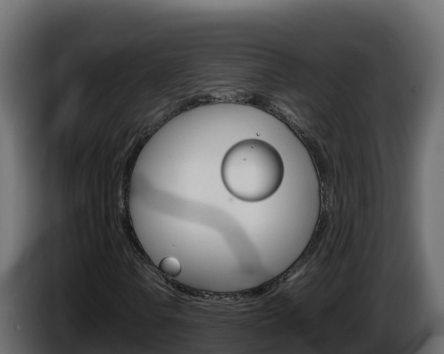 X0000086031106200703230948