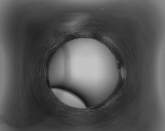 X0000086031107200703230948