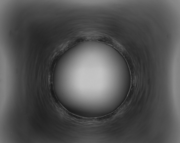 X0000086031108200703230948
