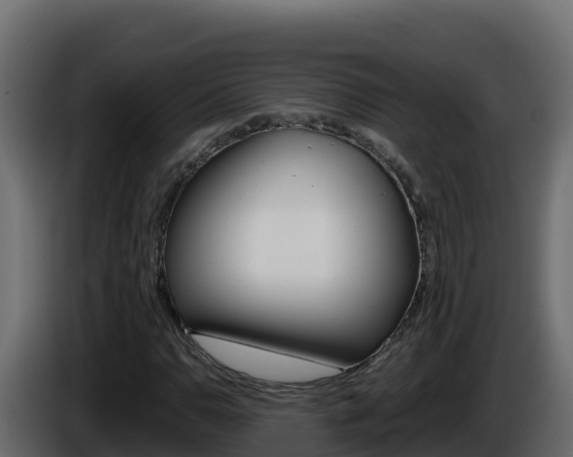 X0000086031110200703230948