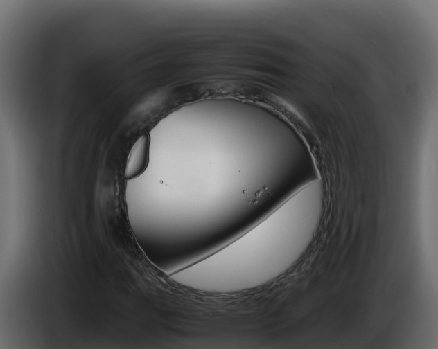 X0000086031111200703230948