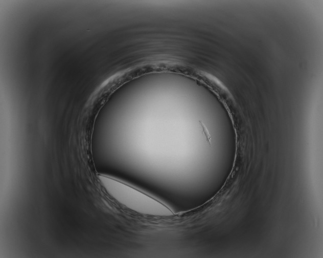 X0000086031112200703230948