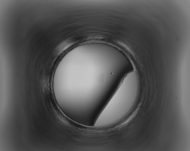X0000086031113200703230948