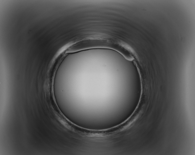 X0000086031114200703230948