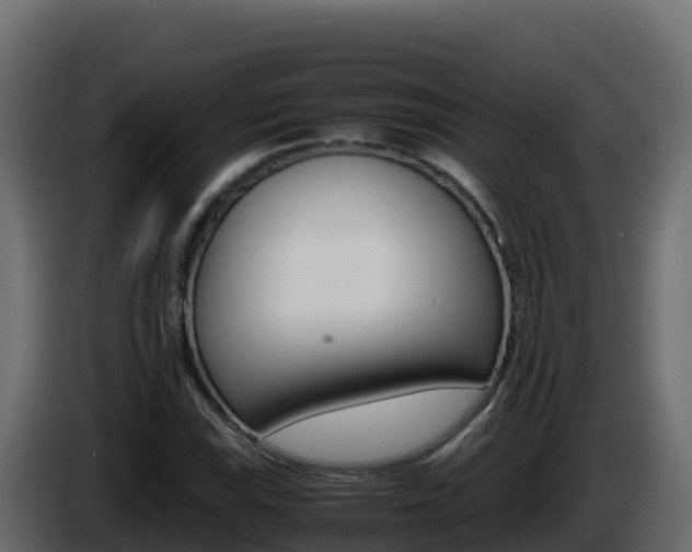 X0000086031115200703230948