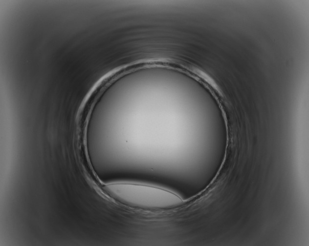 X0000086031116200703230948