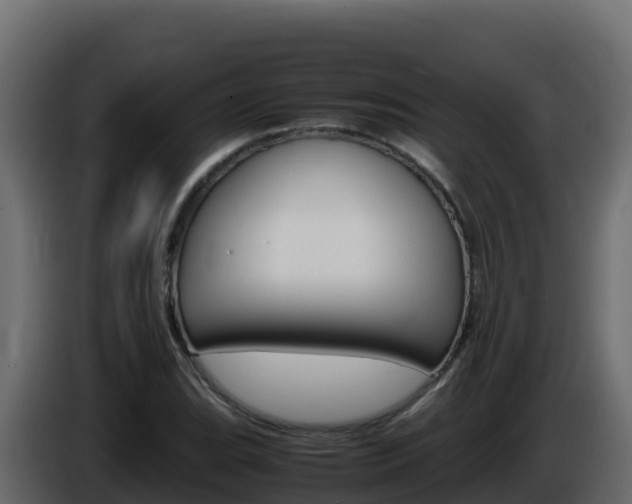 X0000086031119200703230948