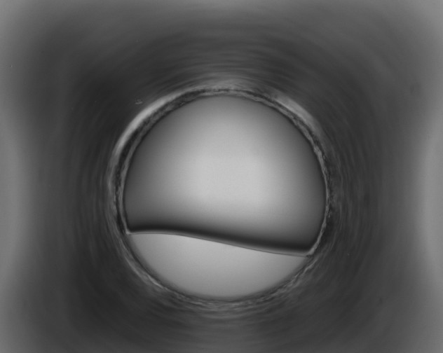 X0000086031120200703230948