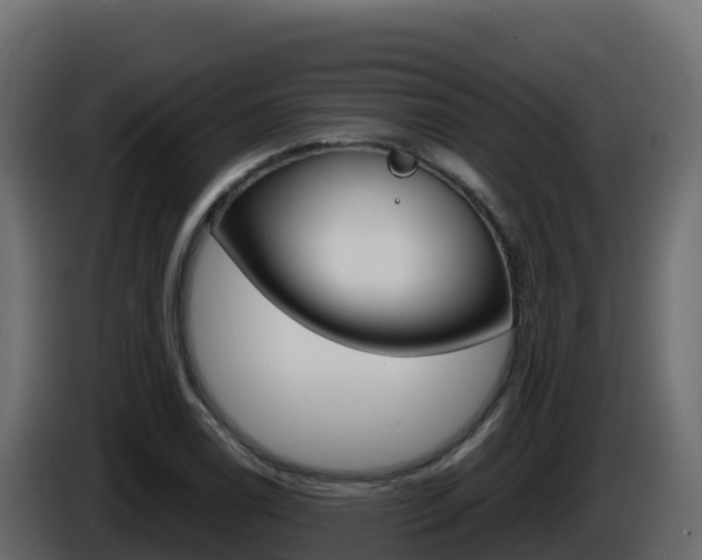 X0000086031122200703230948