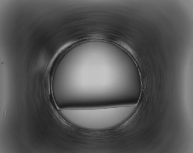 X0000086031123200703230948