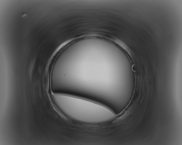 X0000086031127200703230948