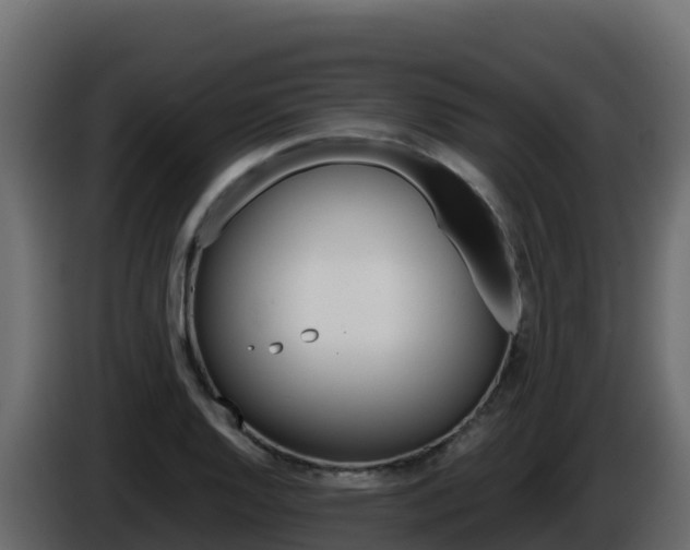 X0000086031128200703230948
