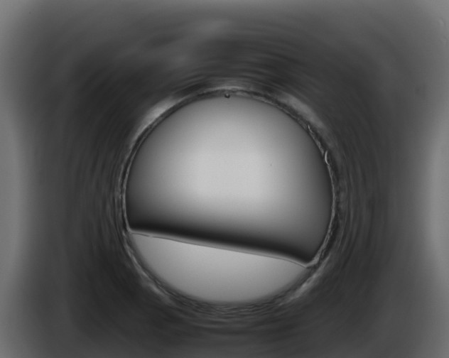 X0000086031129200703230948