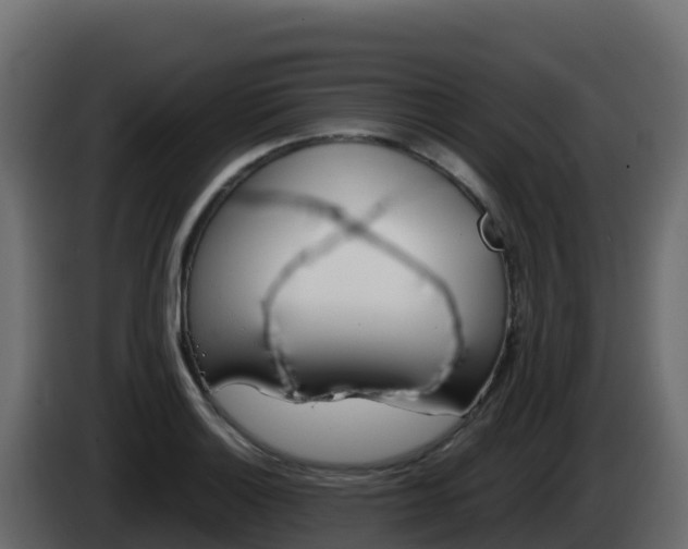 X0000086031132200703230949