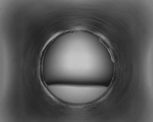 X0000086031134200703230949