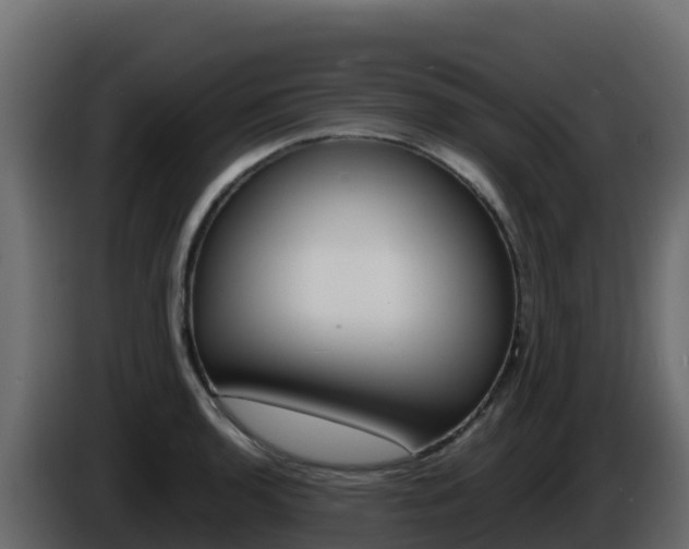 X0000086031136200703230949
