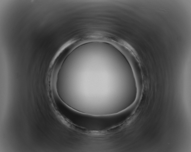 X0000086031138200703230949