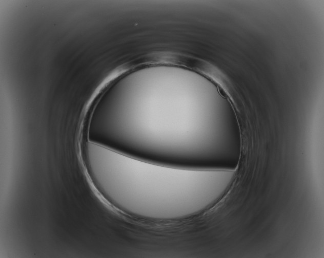 X0000086031139200703230949