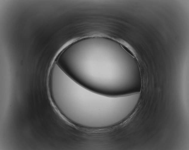 X0000086031142200703230949