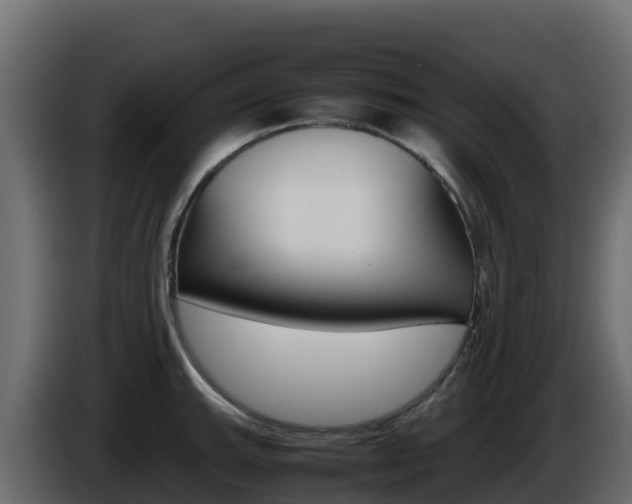 X0000086031143200703230949