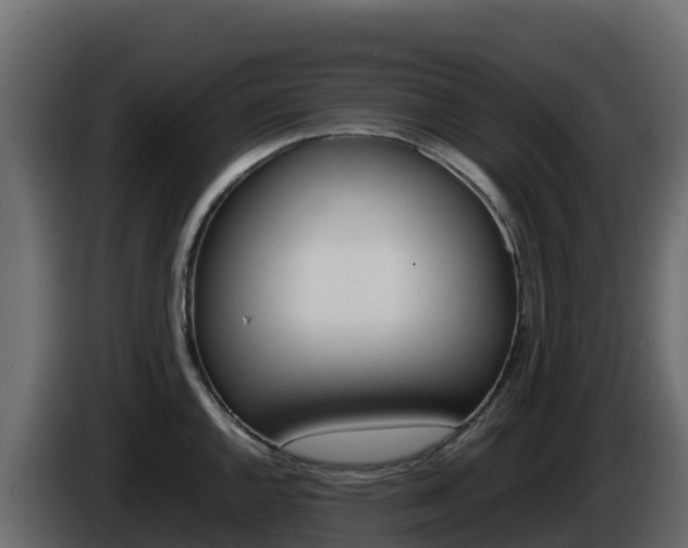 X0000086031144200703230949