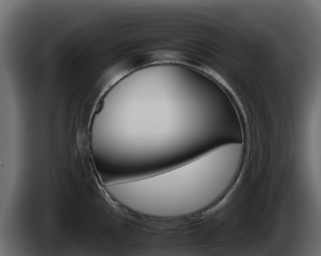 X0000086031145200703230949