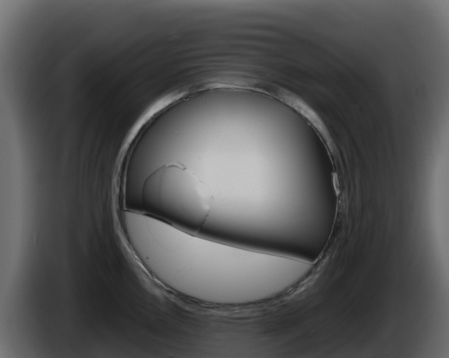 X0000086031146200703230949